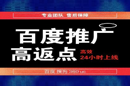 成功案例：一家初创企业如何通过百度关键词推广快速崛起